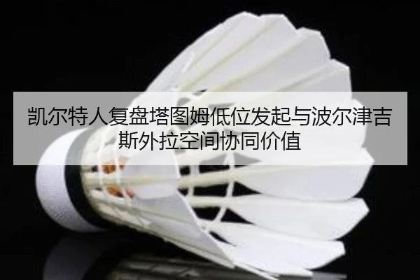 凯尔特人复盘塔图姆低位发起与波尔津吉斯外拉空间协同价值